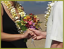 Beach Weddings and Vow Renewal